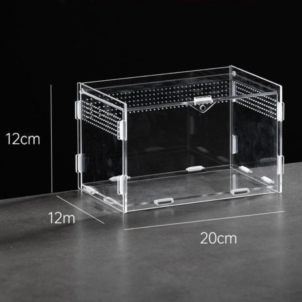 Acrylic Reptile Habitat Clear Spider Feeding Case Durable Lizard Breeding Box  for Scorpion 20X12X12cm-Horizontal