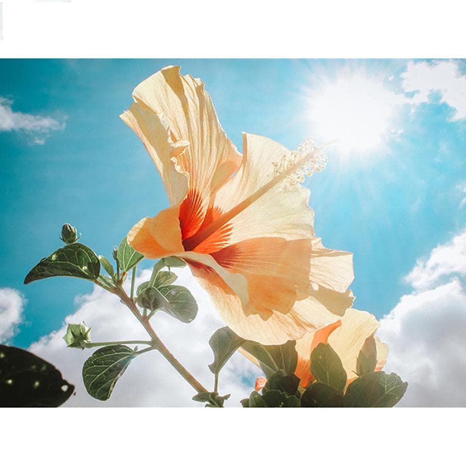 5D DIY Diamond Painting Art Full Round Drill Flower Plant Pictures Embroidery Cross Stitch 20X30CM