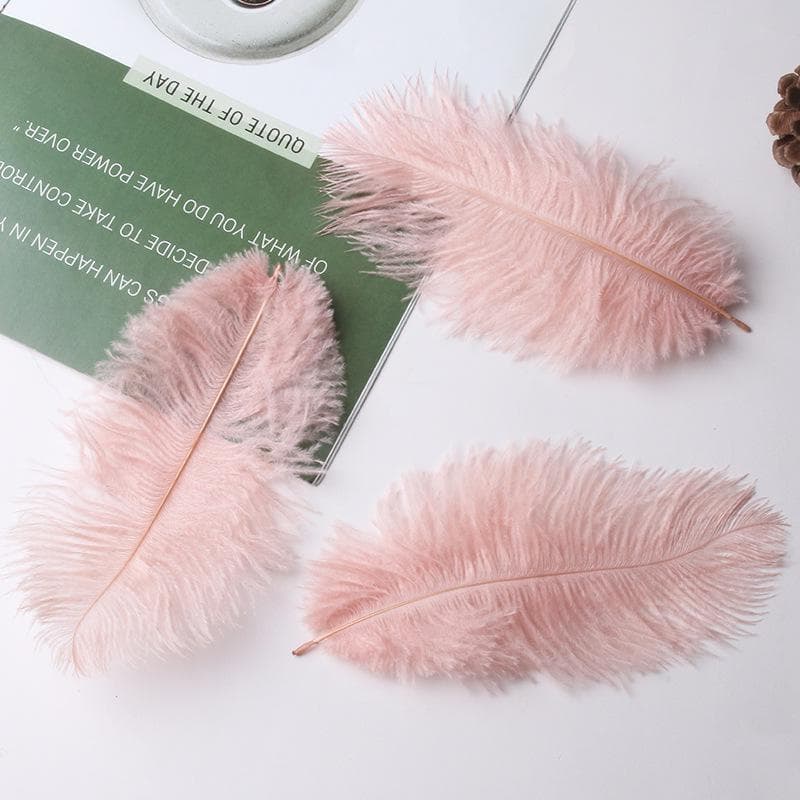 Large 15-20cm Ostrich Feathers for Wedding Arrangements and Stage Props
