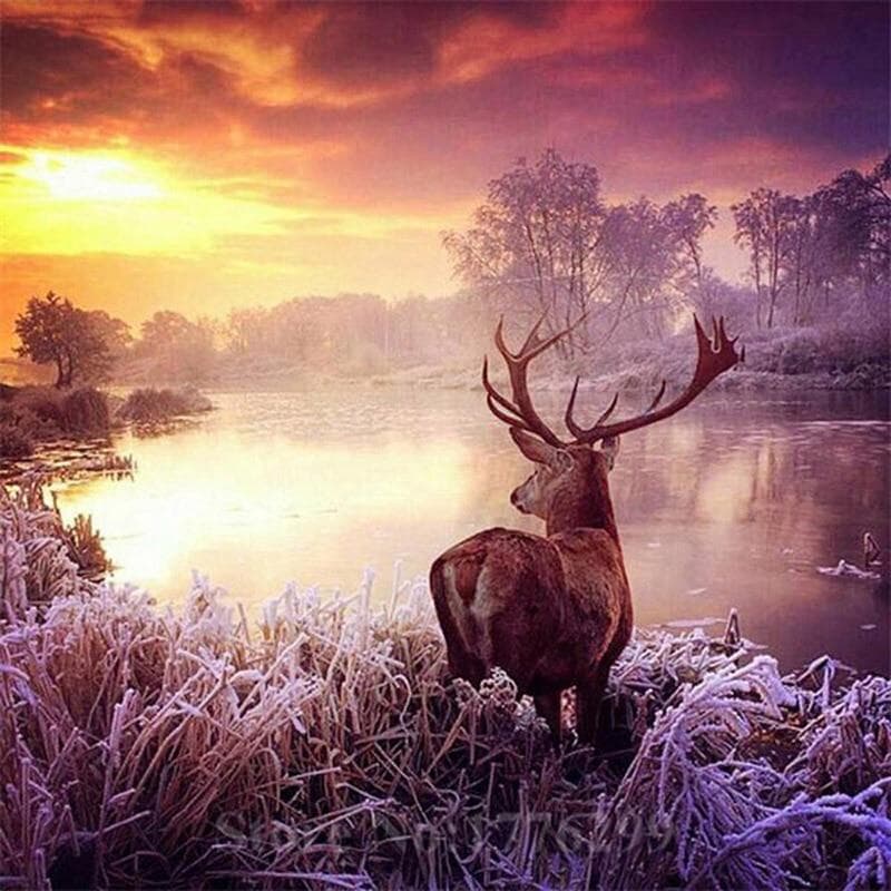 Diamond Painting Full Drill Diy Diamond Embroidery Craft Painting Winter Deer Diamond Wall Arts 30x30CM