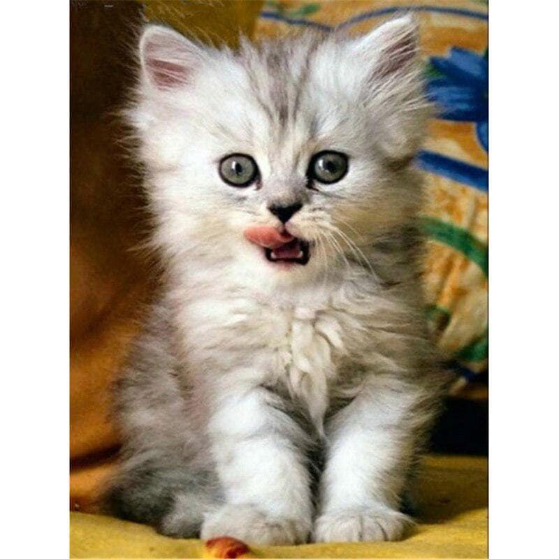 DIY 5D Diamond Painting Cat Animal Mosaic Diamond Embroidery Cross Stitch 20X30CM