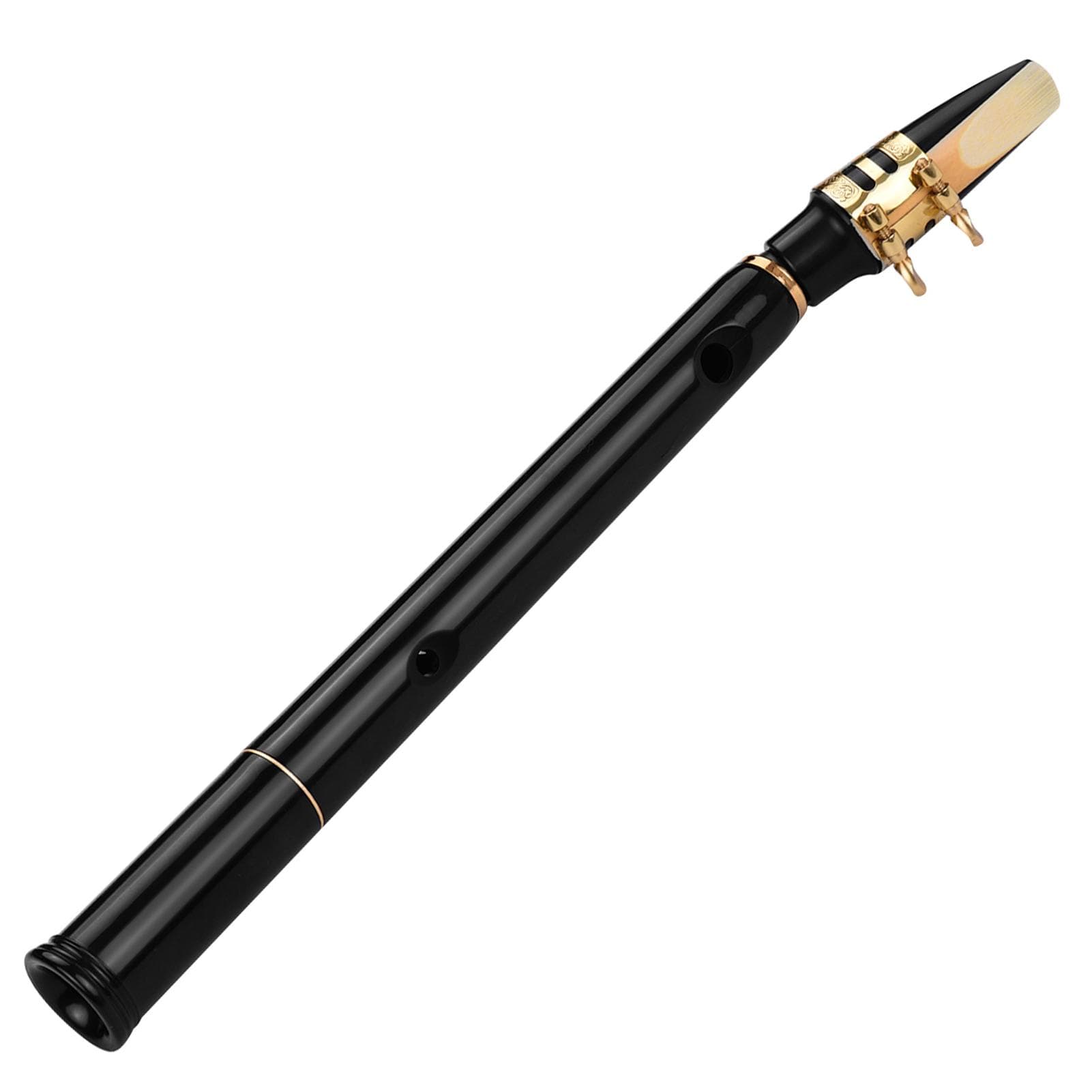 HiXing C Key Mini Pocket Saxophone Sax ABS Material with Mouthpieces 10pcs Reeds Carrying Bag black