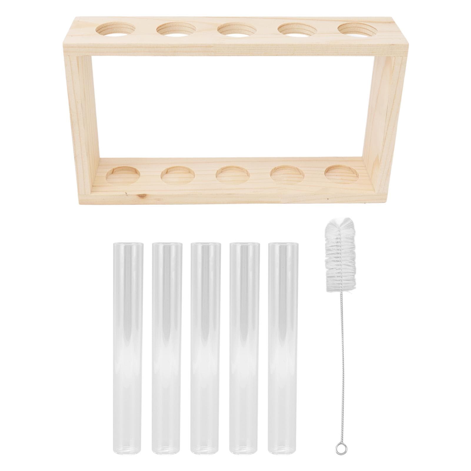 5 Test Tube Plant Terrarium Transparent Observe Growth Status Water Plant Holder with Wooden Stand