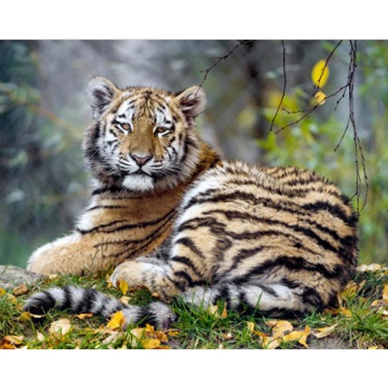 Paint with Diamonds Animal Tiger Diamond Painting Diamond Embroidery Cross Stitch Rhinestone Picture 20X30CM