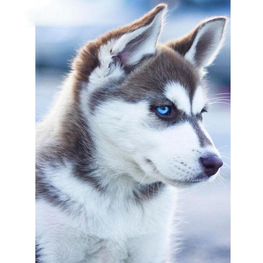 5D DIY Round Diamond Painting Animal Husky Dog Cross Stitch Diamond Embroidery 20X30CM