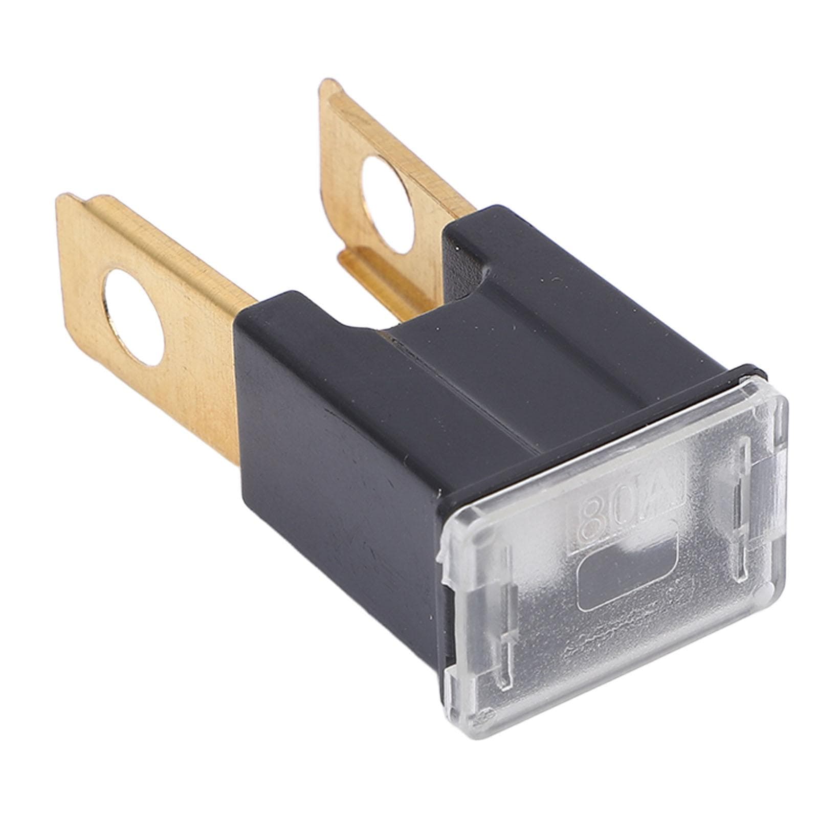 10PCS Straight Male Terminal Fuse Black Color FLM Male Terminal Fuse Replacement 80A 32V