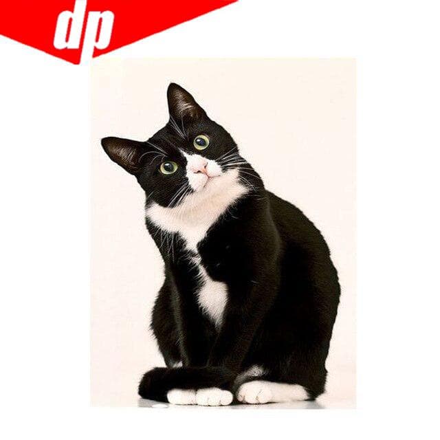 Cat Diamond Embroidery 5D DIY Diamond Painting Cross Stitch Picture Full Round Diamond 20X30