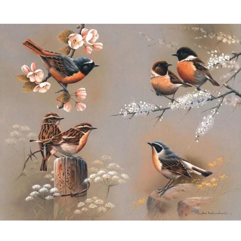 5D Diamond Painting Bird 3D Picture Diamond Embroidery Animal Cross Stitch Mosaic Painting 20X30CM