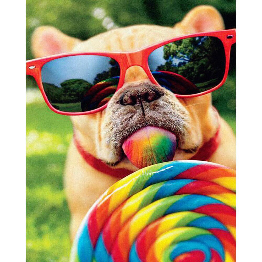 5D DIY Diamond Embroidery Dog Lollipop Diamond Painting Cross Stitch 20X30CM