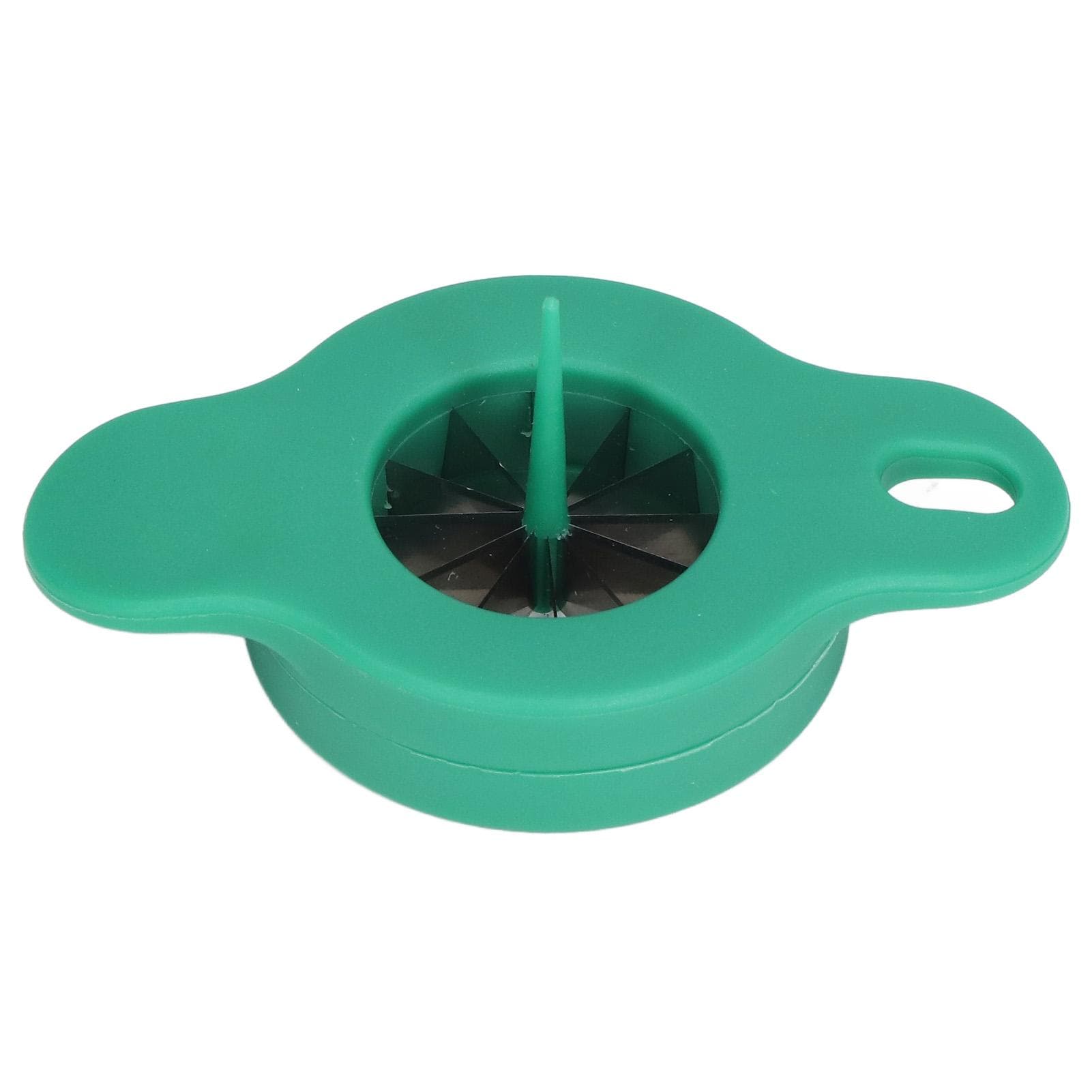 Food Grater Vegetable Slice Cutter Stainless Steel Pointed Scallion Slice Shredder Kitchen Tool L