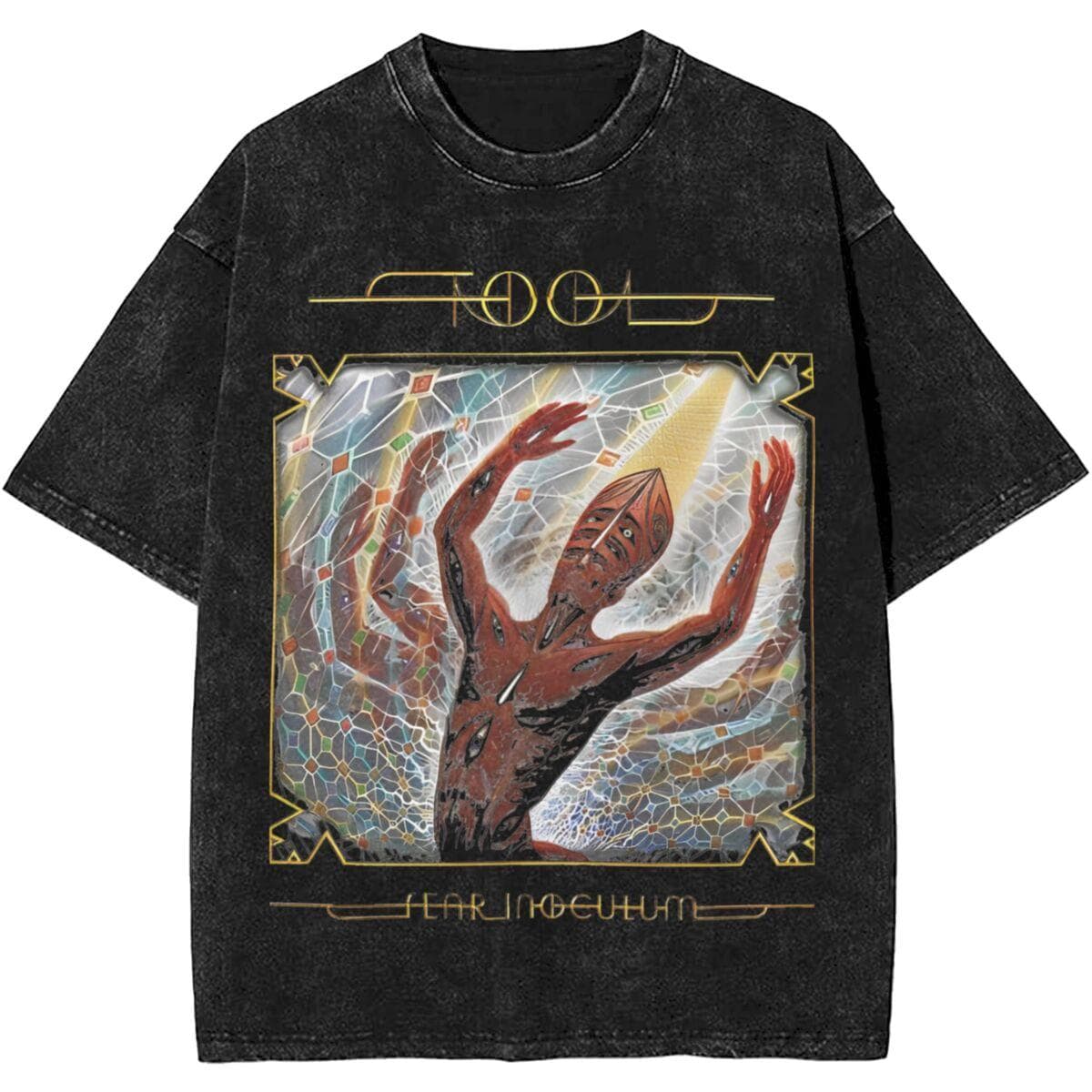 Men Women Rock Tool Band Lateralus Heavy Metal Music Vintage Washed T Shirt Merch Cotton Top Clothes Oversized XL