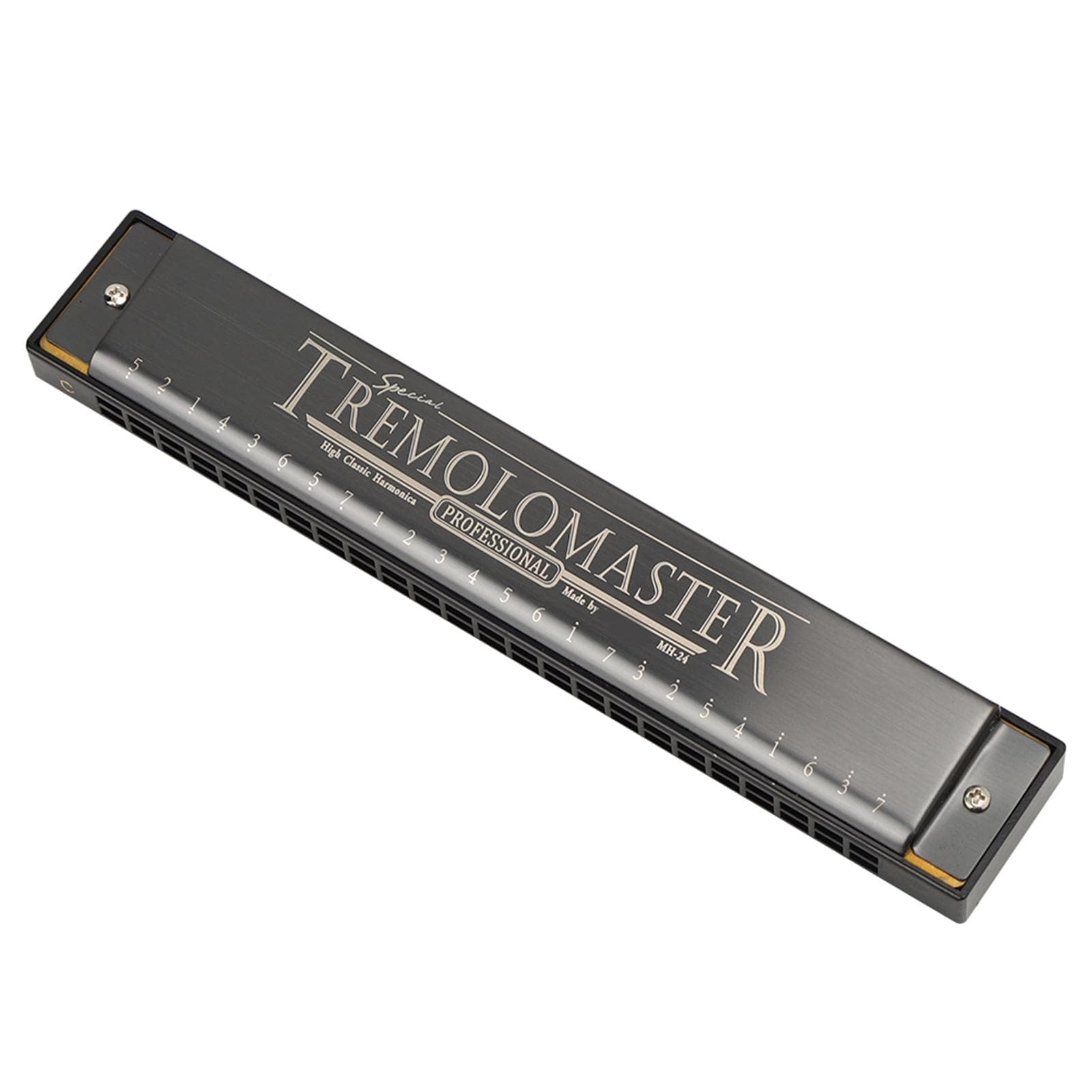 Professional Mouthorgan Harmonica Diatonic Harp Children Gifts Polyphonic C Key 24Hole(Matt Black matte black