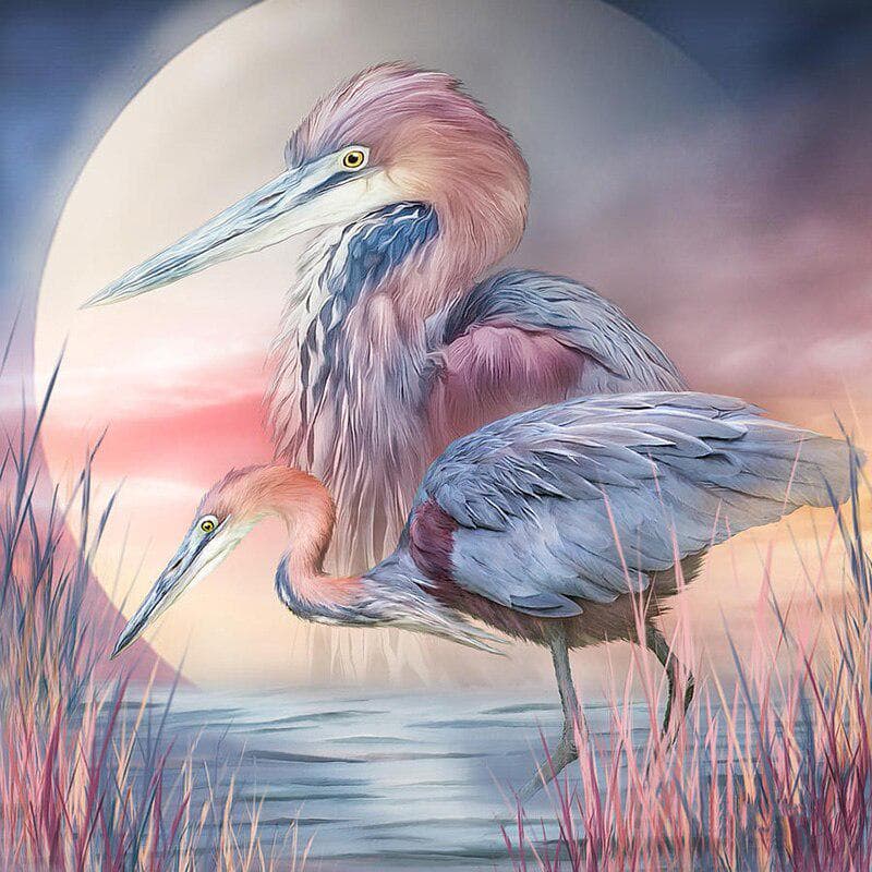 5D DIY Diamond Painting Animal Heron Full Round Diamond Embroidery Rhinestone Picture Decor Home 30x30CM