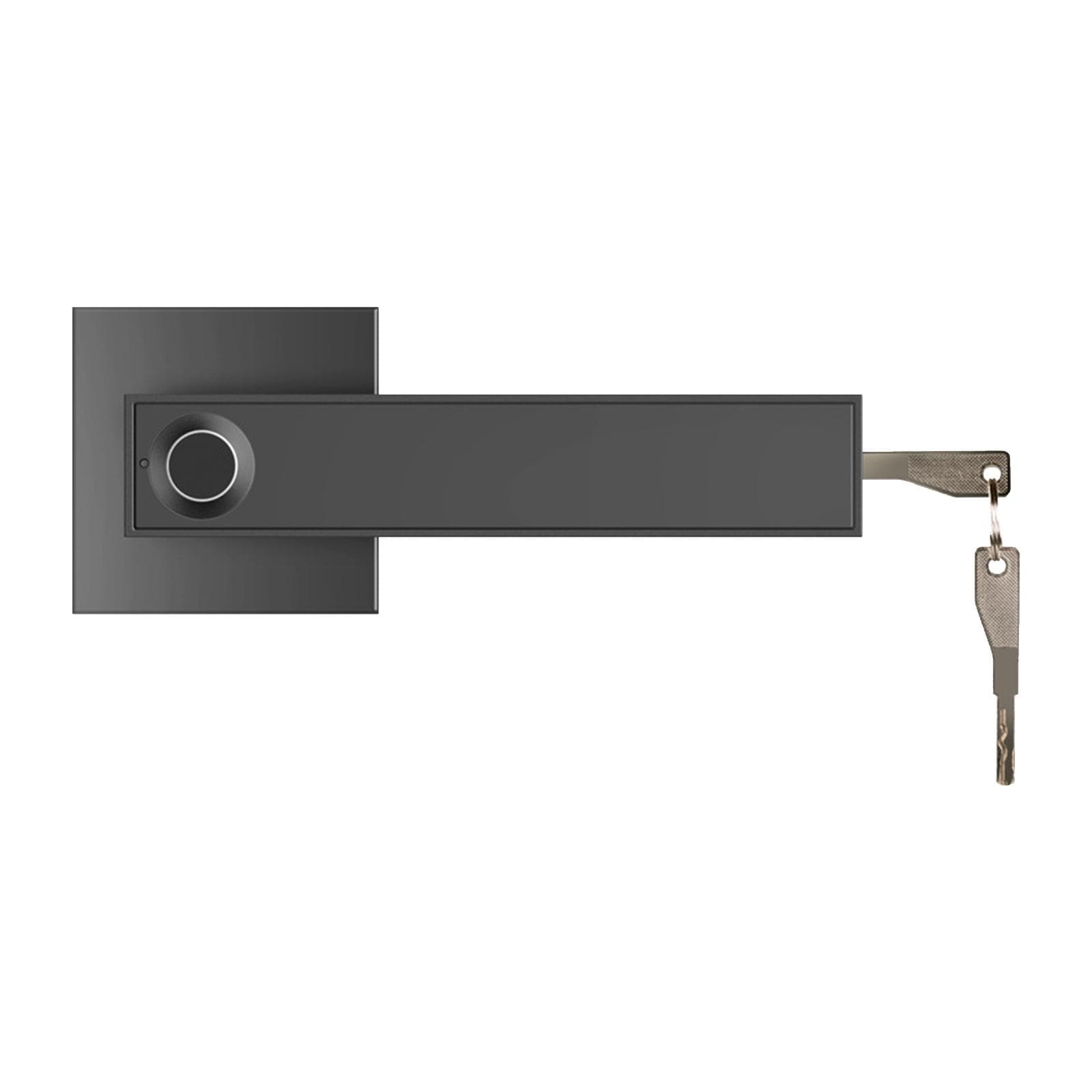 30 Groups Fingerprint Door Lock Smart Door Knob Gate Locks Left-Right Open Door Lever Lock Set black