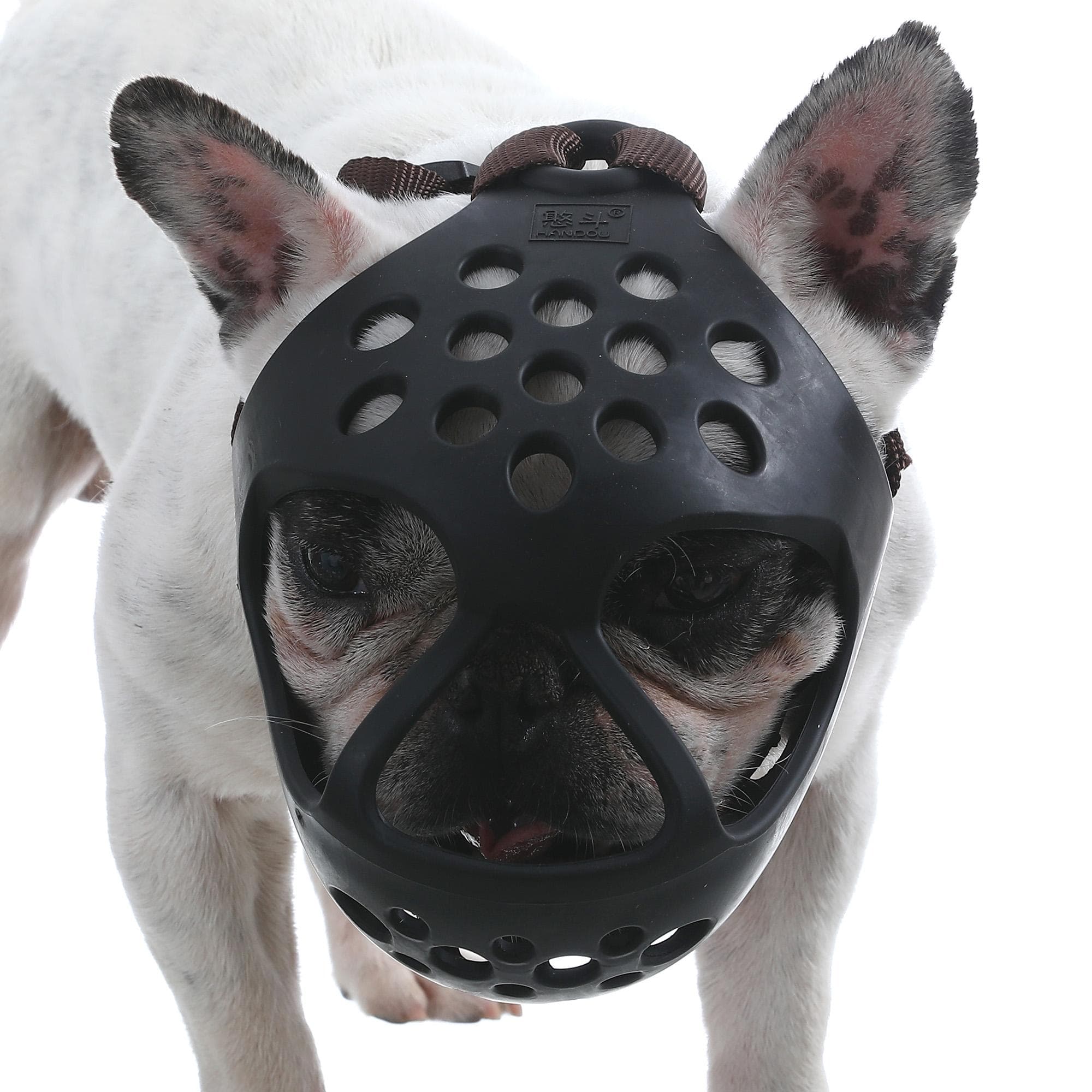 Dog Muzzle for Short Snout Dogs Breathable Holes Prevent Biting Chewing Small black