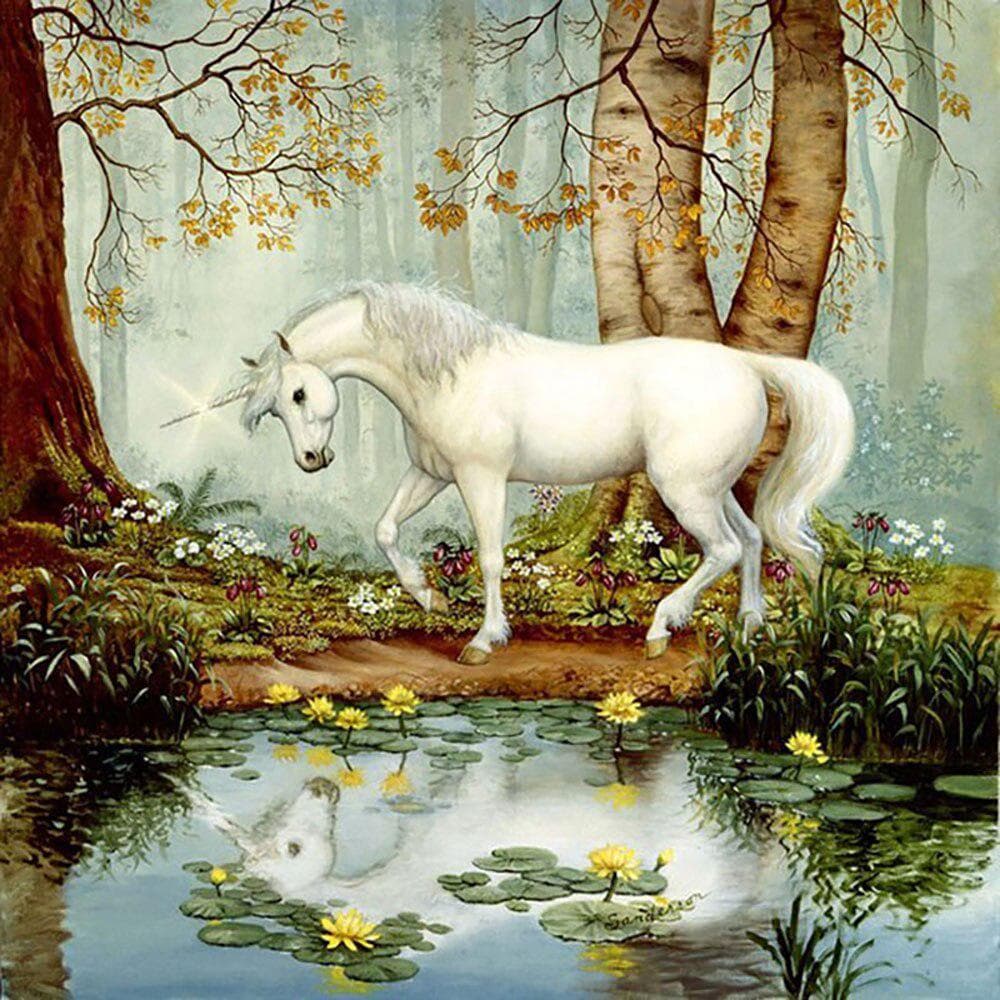 Diamond Painting Unicorn and Fairy Embroidery Full Round Diamond Painting Cross Stitch Rhinestone 30x30CM