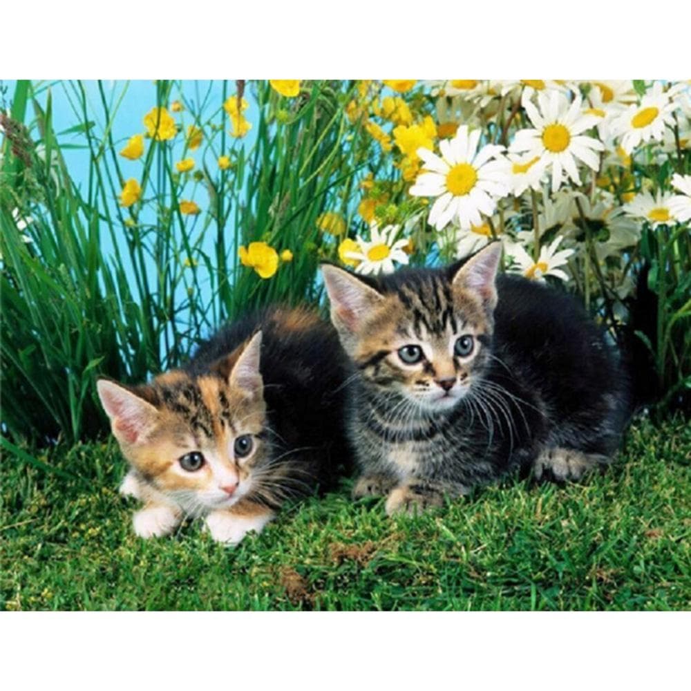 Diamond Painting Full Drill Round A Dedicated Cat Mosaic DIY Diamond Painting Cross Stitch 20X30CM
