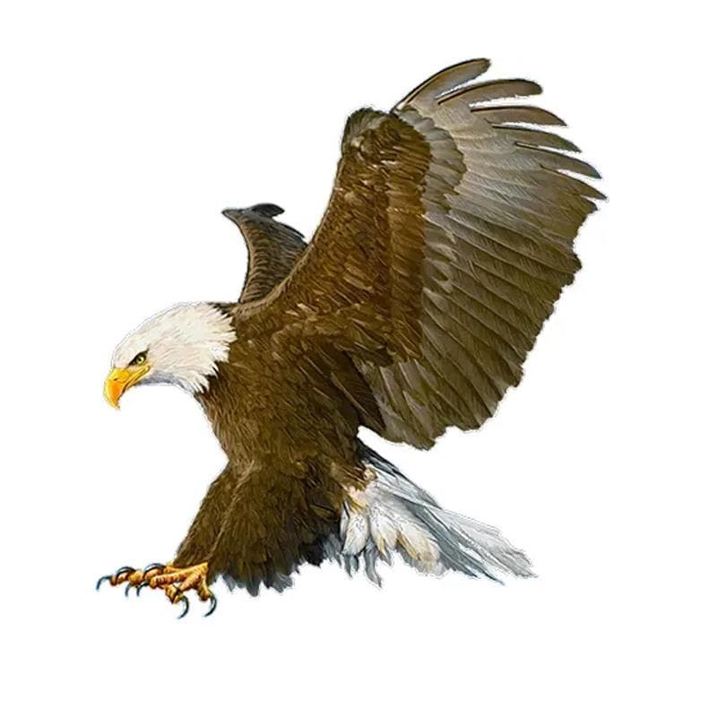 J510# Fierce Eagle Hand Painted Sticker on The Car Vinyl Decal Waterproof Decoration Car Stickers A-15cm-Longest Side