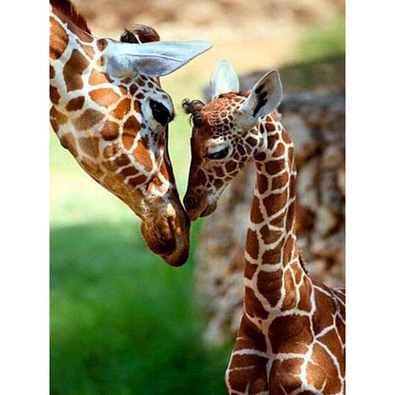 5D Diamond Painting Giraffe DIY Animal Diamond Embroidery Cross Stitch 20X30CM