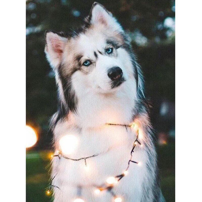 5D DIY Diamond Painting Full Round Cute Dog Diamond Embroidery 20X30CM