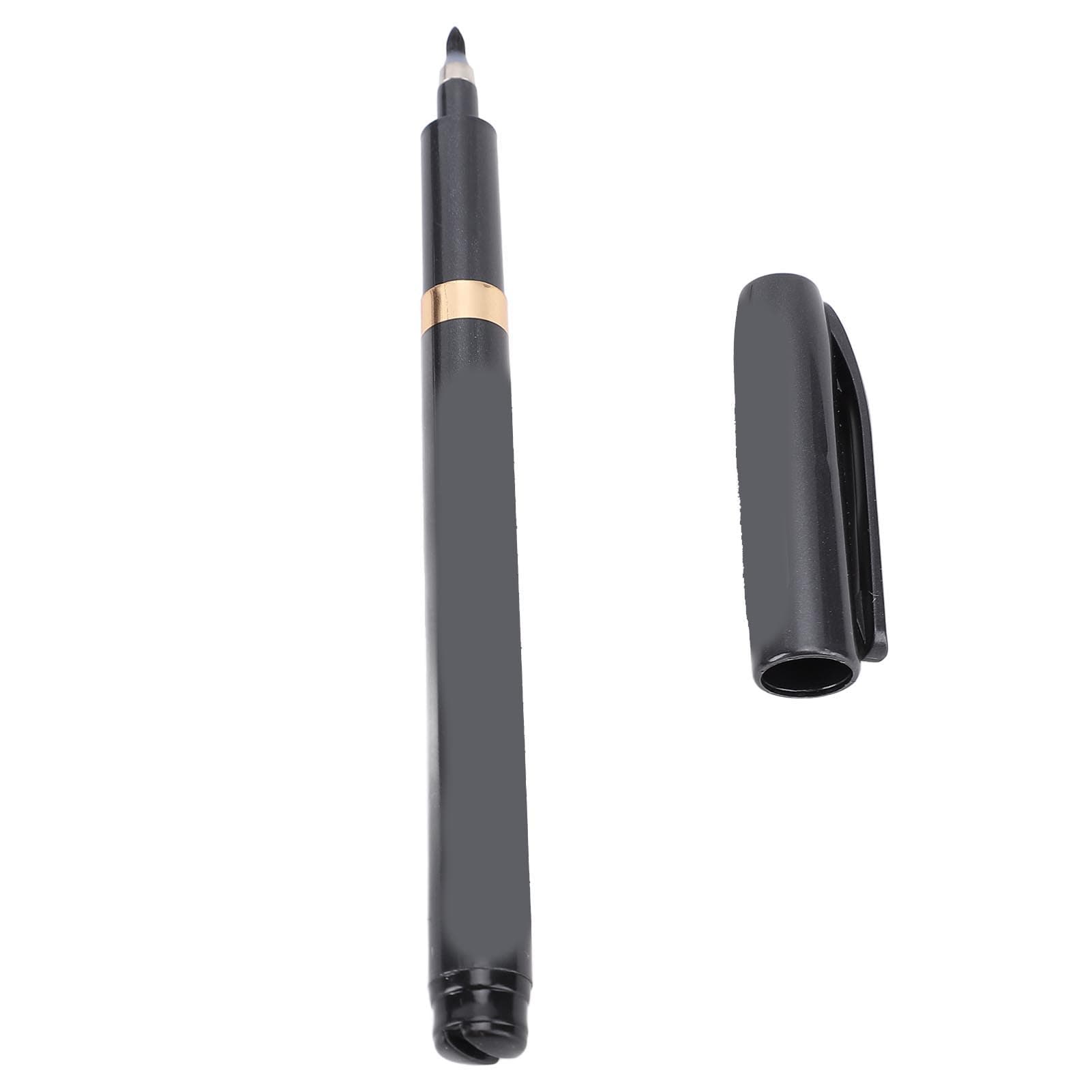Calligraphy Pen Artist Beginners Writing Drawing Chinese Japanese Soft Brush Ink Pen Black 0940