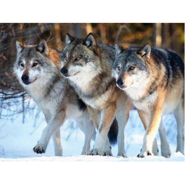 DIY 5D Diamond Painting Wolf Animal Mosaic Kit Cross Stitch Diamond Embroidery Full Drill Round 20X30CM tan
