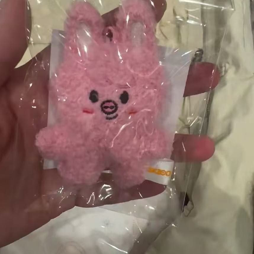 New 32 styles Stray kids 10cm high plush toy keychain decoration pendant SKZOO kawaii bag decoration soft touch cute animal doll DWAEKKI
