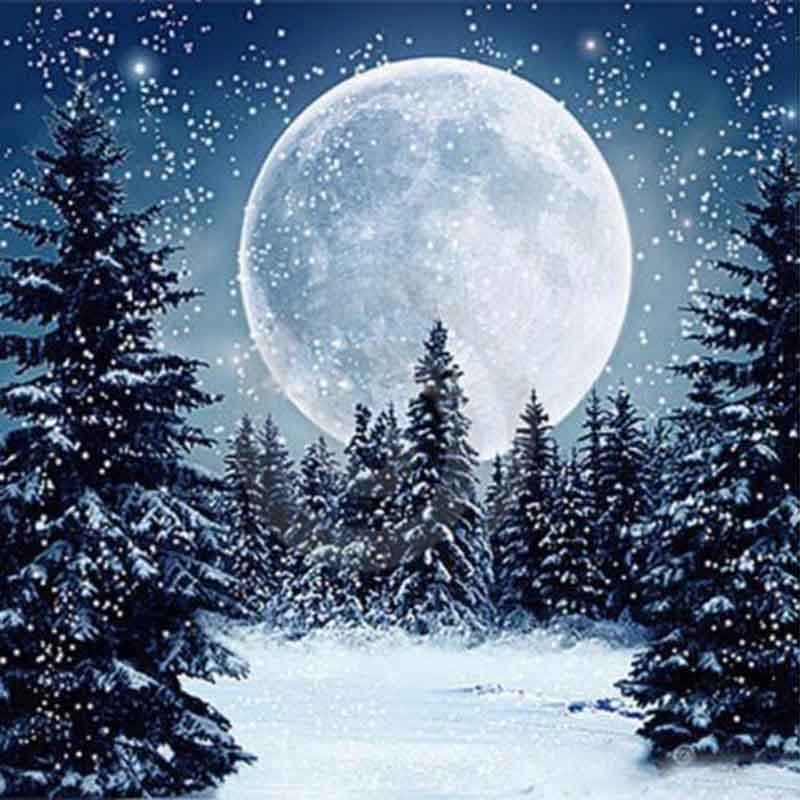 Diamond Painting Landscape Tree Winter Snow Villa Rhinestone Embroidery Cross Stitch 30x30CM