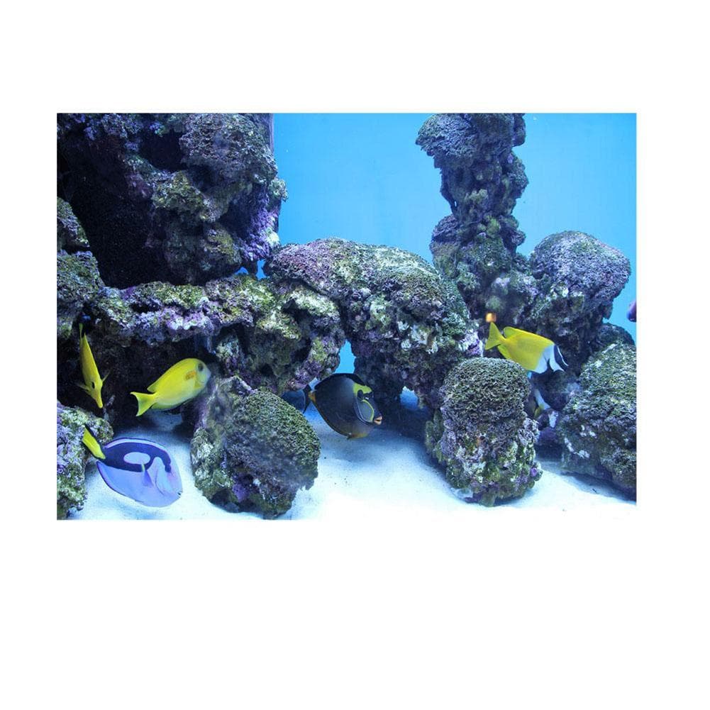 Coral Aquarium Background Underwater Poster Fish Tank Wall Decorations Sticker 61 x 30cm