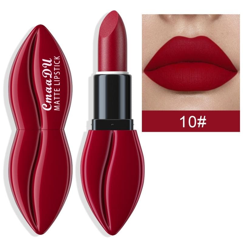 10 Color Matte Matt Dark Red Lipstick Makeup Set Long Lasting Smudge Proof Labiales Matte Lip Stick Packs Matte Women  Lip Stick