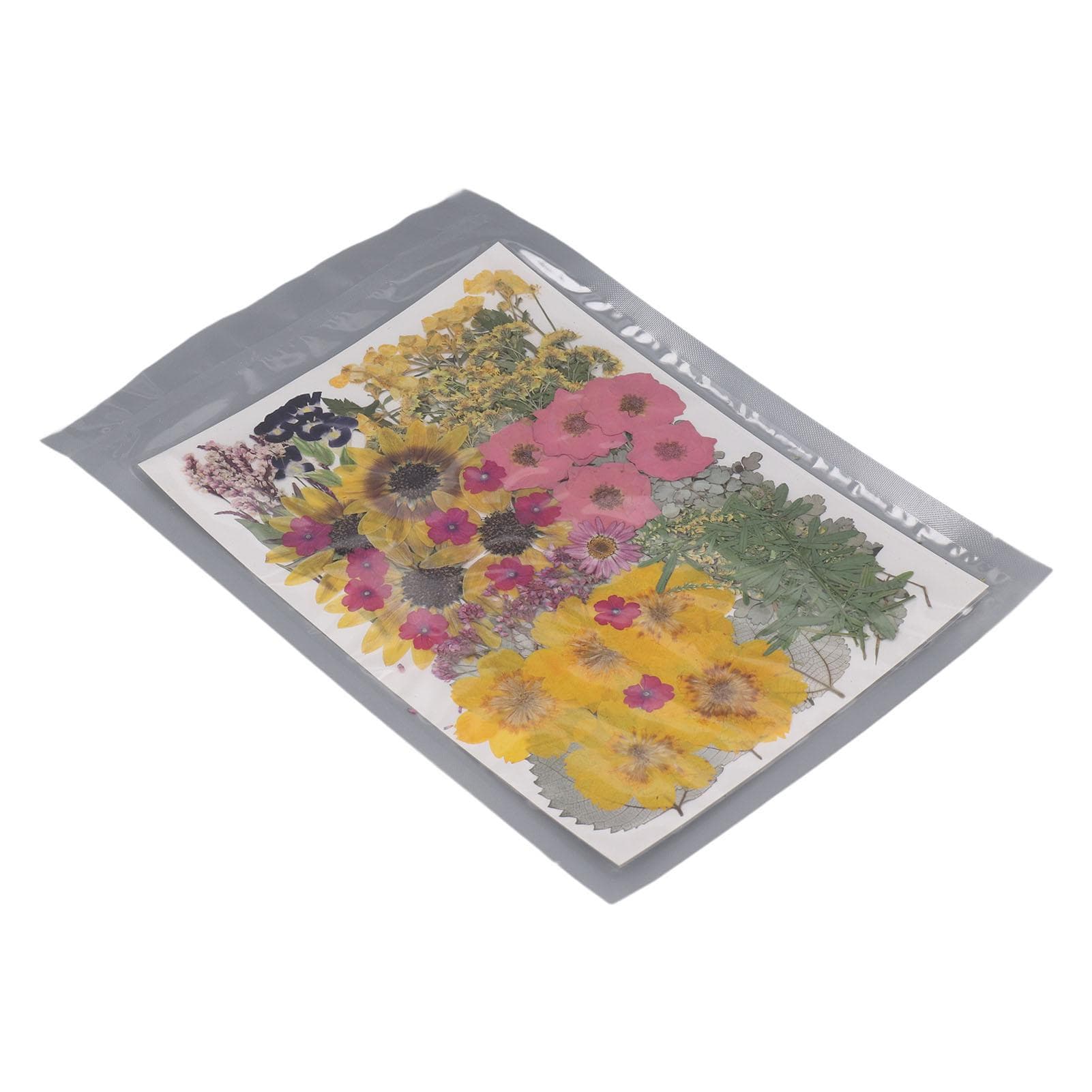 100 Pcs Dried Pressed Flower 13 Types Natural Dry Flowers with 2 Stickers for Scrapbooking Candle