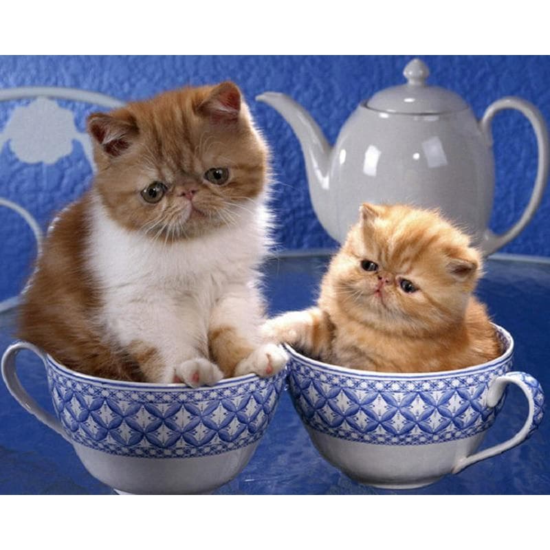 Diamond Mosaic Full Package Cat Full Round Rhinestone Pasted Diamond Embroidery Pattern Gift 20X30CM