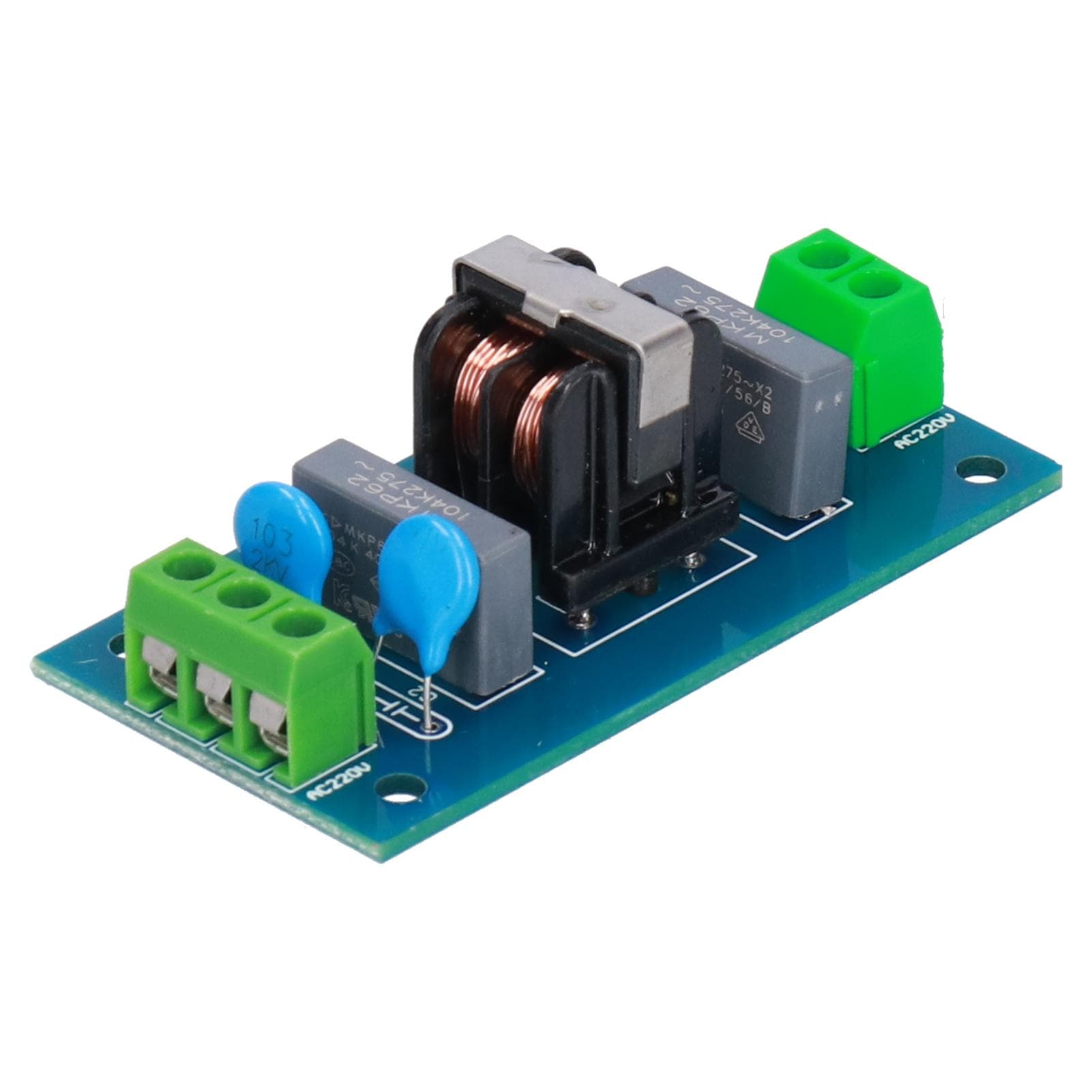 Filtering Board Power Supply Low Pass Filter Module EMI Sound Enhancement Tool 220V 2A