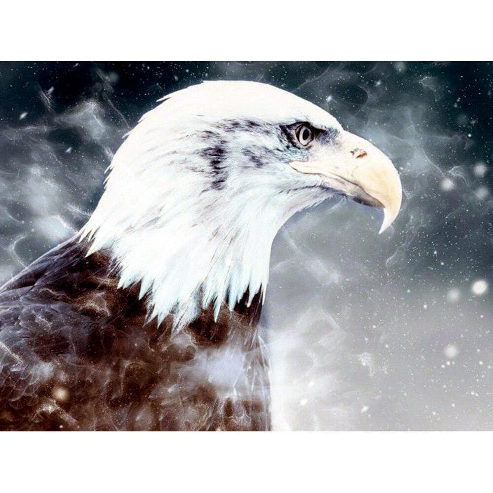 Diamond Painting Eagle Animal Full Drill Diamond Embroidery Animal Pictures Rhinestones Cross Stitch 20X30CM