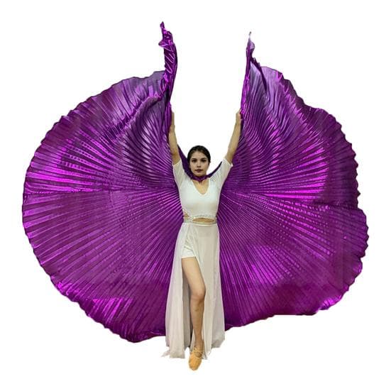 1 Set Performance Telescopic Rod 360 Wings Egyptian Degree Belly Dance Cape with Costume Pleated Bright purple