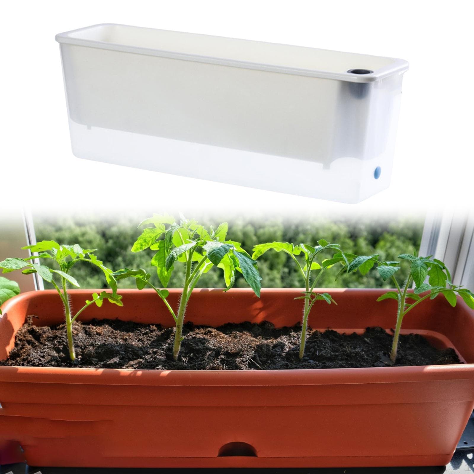 Rectangle Planter Box for Flowers Self Watering Large Capacity Outdoor Clear and White