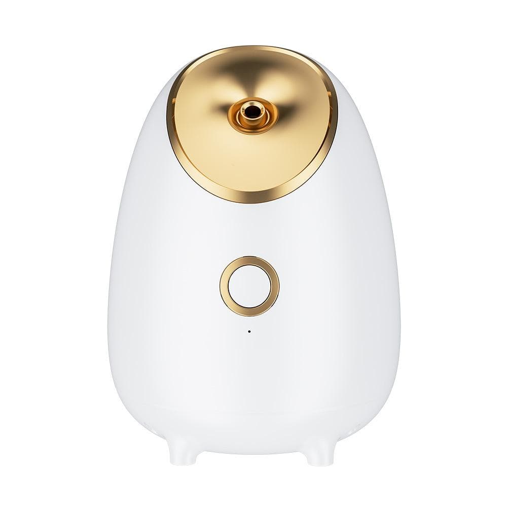 Household Small Face Steamer, Hot and Cold Hydration Spray Instrument, Beauty Instrument, Facial Cleansing, Moisturizing and Hot Spray Face Steamer white