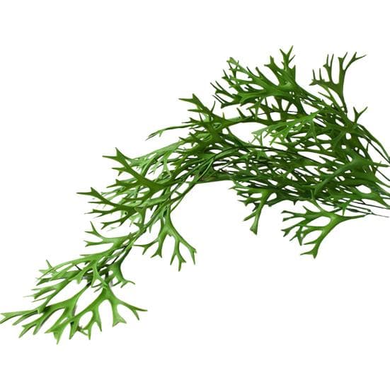 Yousheng Artificial Fern UV Resistant Realistic Reusable Home Wedding Party Faux Greenery Plants Indoor Outdoor Garden Yard Decoration Photo Props 80cm green
