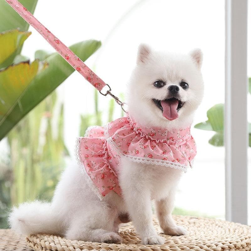 Leash for Small Dogs Dog Vest Harness and Leash Set Breathable Nylon Small Dog Harness and Leads for Chihuahua Yorkshire Teddy with Blet M(2.5-5kg) pink
