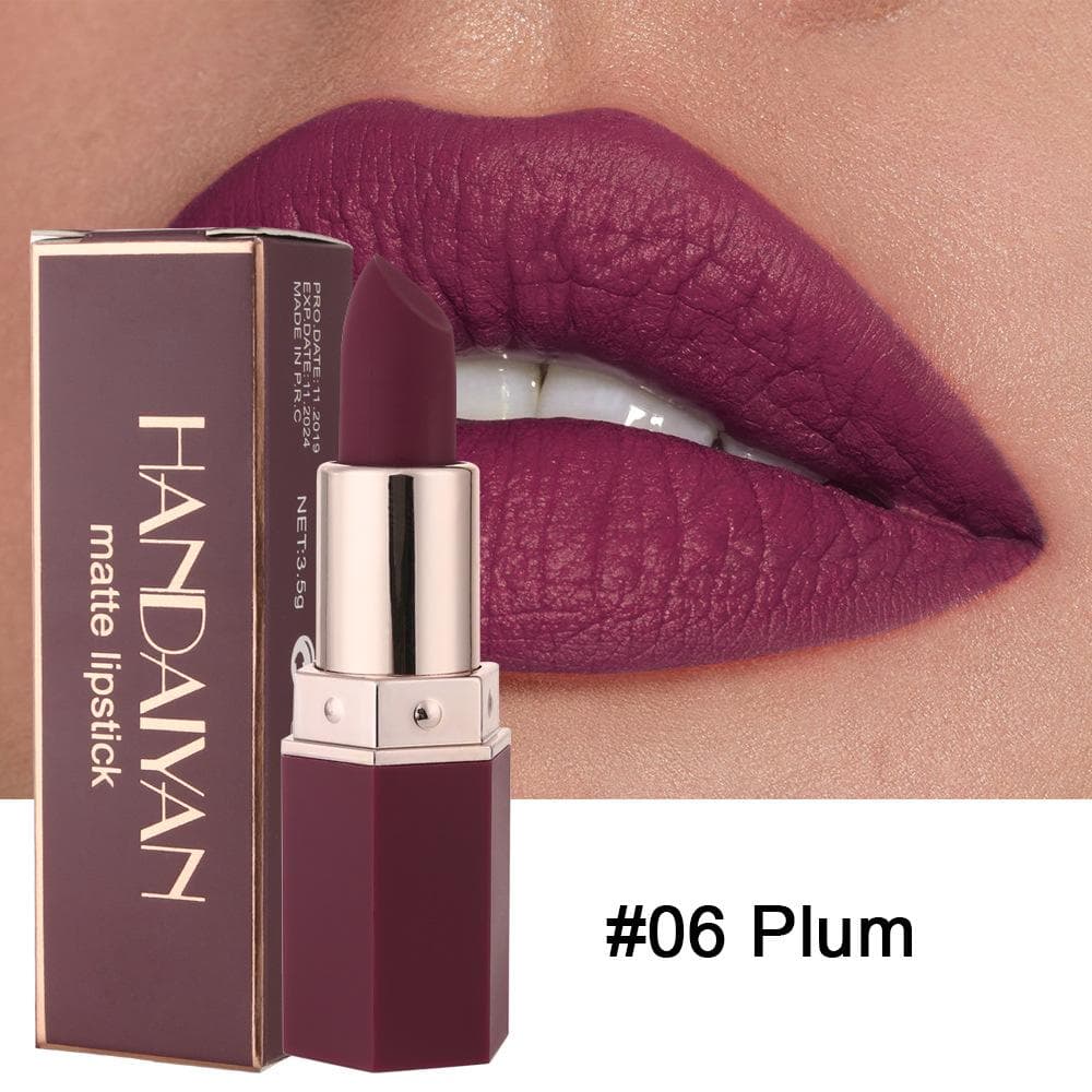 HANDAIYAN 6 Colors Matte Waterproof Velvet Nude Lipstick Sexy Red Brown Pigments Makeup Long Lasting Profissional 06