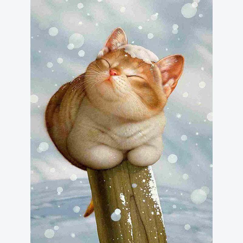 5D Diamond Painting Full Round Cartoon Cat Crysta Animal Kit DIY Sticking Drill Cross Stitch 20X30CM