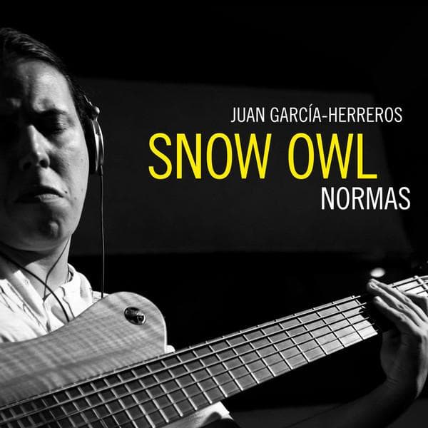 CD SNOW OWL - Art of Contrabass Guitar INCM032CD Inner Circle Mu 2013 Austria Jazz Used