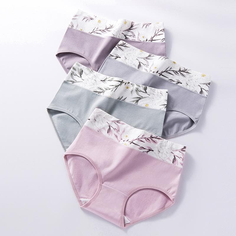 High Waist 4Pcs/Set Cotton Panties Women Underwear Briefs Female Lingerie Plus Size M-5XL XL