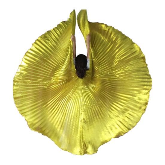 1 Set Performance Telescopic Rod 360 Wings Egyptian Degree Belly Dance Cape with Costume Pleated Bright golden