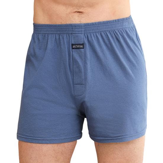 High Waist Elastic Waistband Thin Men Panties Solid Color Loose Shorts Briefs L blue