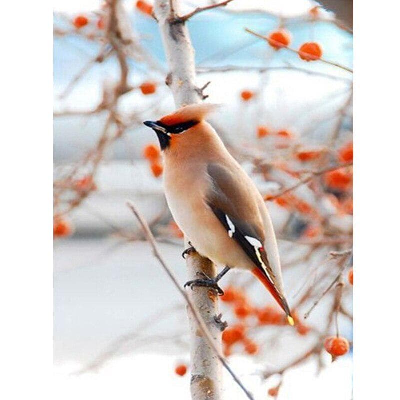 Diamond Embroidery Bird Woods Diamond Painting Cross Stitch Home Decor Mosaic Rhinestone Gift 20X30CM