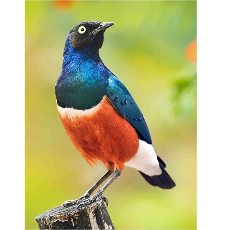Cross Stitch Bird Flower Embroidery 5D Diamond Painting Home Decoration Full Drill 20X30CM