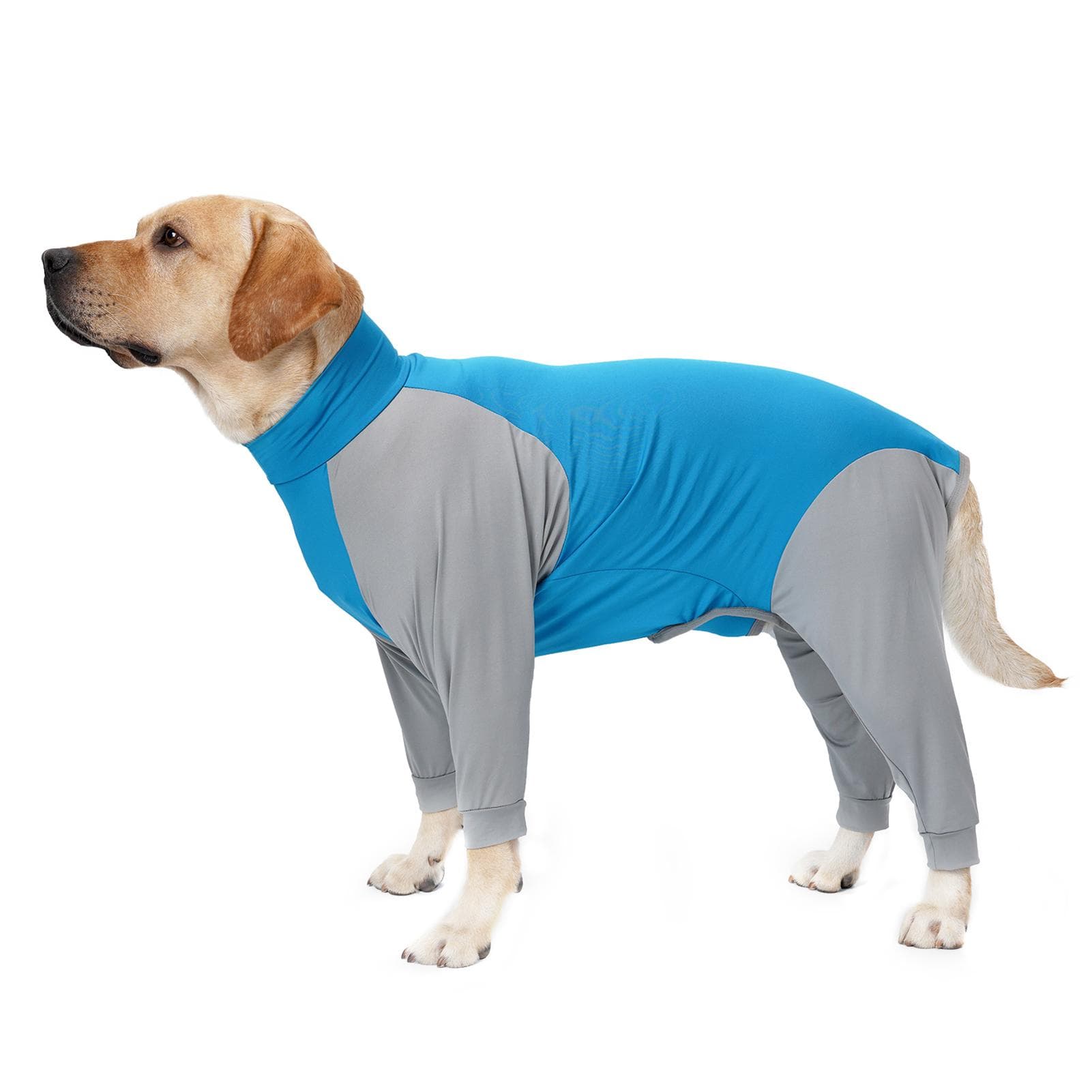 Dog Sweatshirts Four Legs Pet Jackets for Small Medium Large Dogs Small blue