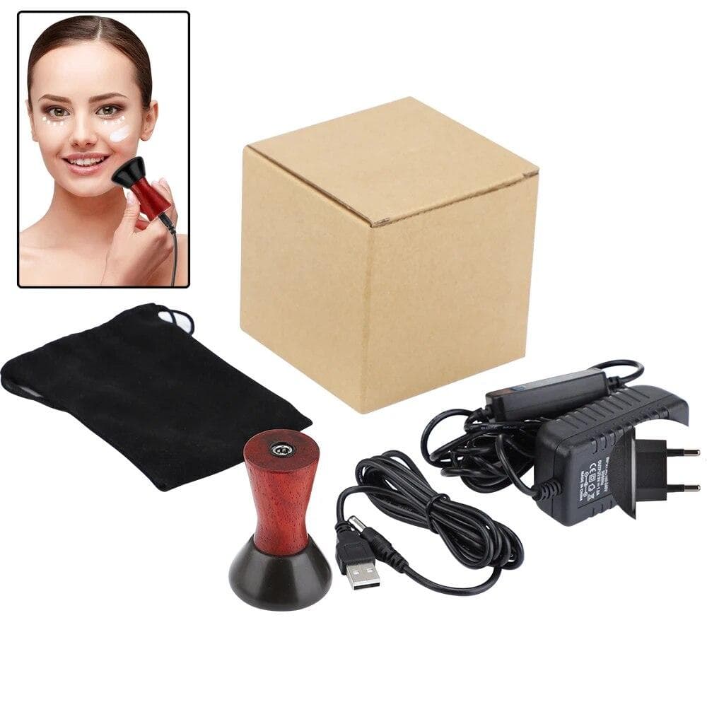 Electric Heating Bian Stone Gua Sha Massager Hot Compress Body Physiotherapy Tool Back Face Massage Warm Moxibustion Guasha Tool CN