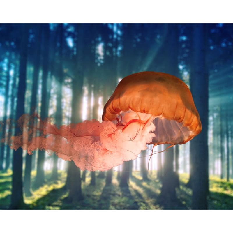 3D DIY Diamond Embroidery Cross Stitch Forest Jellyfish Diamond Painting Home Decoration 20X30CM